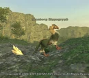 Grauberg Hippogryph