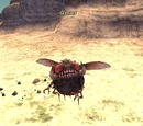 Gnat