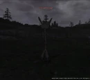 Goaftrap
