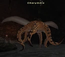Charybdis