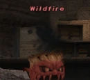 Wildfire