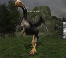 Diatryma