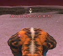 Ansherekh