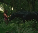 Black horse