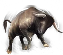 Charging Bull