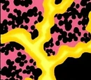 New Earth