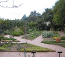 Kitchen garden