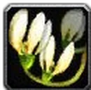 Inv misc flower 03.png