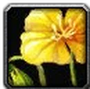 Inv misc flower 01.png