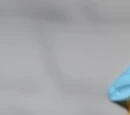 Sesame Street finger puppets (Applause)