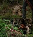 Deadgoodwin.jpg