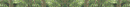 Smokey.gif