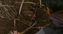 Danielle Shallow Grave.jpg