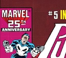 Punisher Vol 1 5