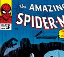 Amazing Spider-Man Vol 1 22