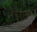 Rope bridge