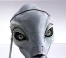 Taun We