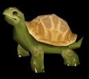 Turtle Box