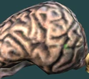Cerebro