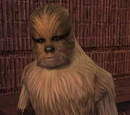 Freyyr