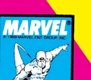 Silver Surfer Vol 3 31