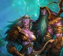 Night elf