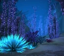Vashj'ir