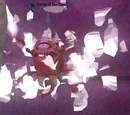 Bearer of the Crux