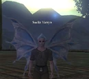 Saelir Varryn