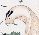 Wandrella