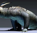 Dragón krayt