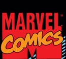 Punisher Vol 2 63