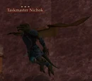 Taskmaster Nichok
