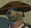 Hoo'Loh's Straw Hat