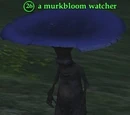 A murkbloom watcher