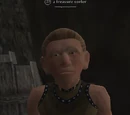 A treasure sorter