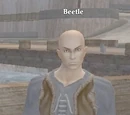 Beetle