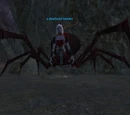 A drachnid hunter