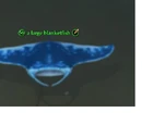A large blanketfish