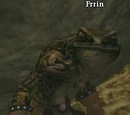 Frrin (Hidden VoK)