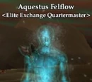 Aquestus Felflow