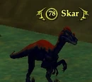Skar