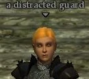 A distracted guard