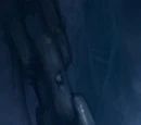 Bolvar Fordragon