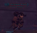 Interrogator Bruek