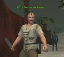 A Nerius dockhand