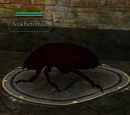 Ankhefemut
