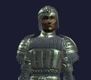 Marauder's Guile (Armor Set)
