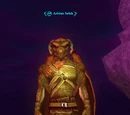 Arbiter Selek