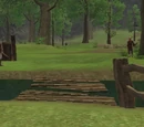 Mystic Woods